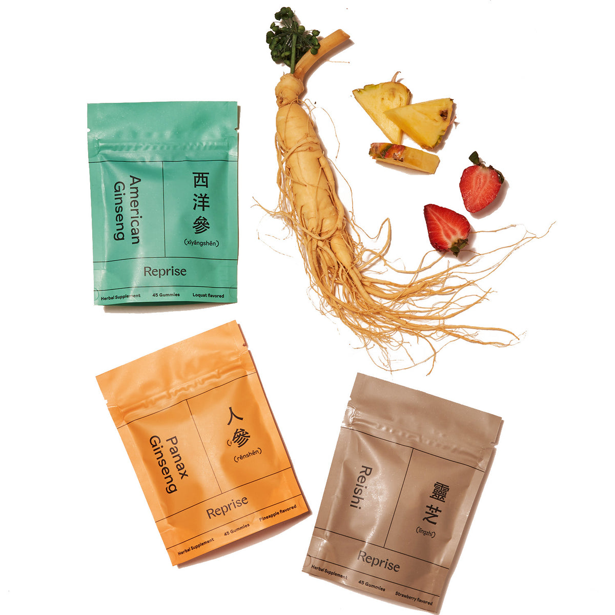 Super Focus Bundle